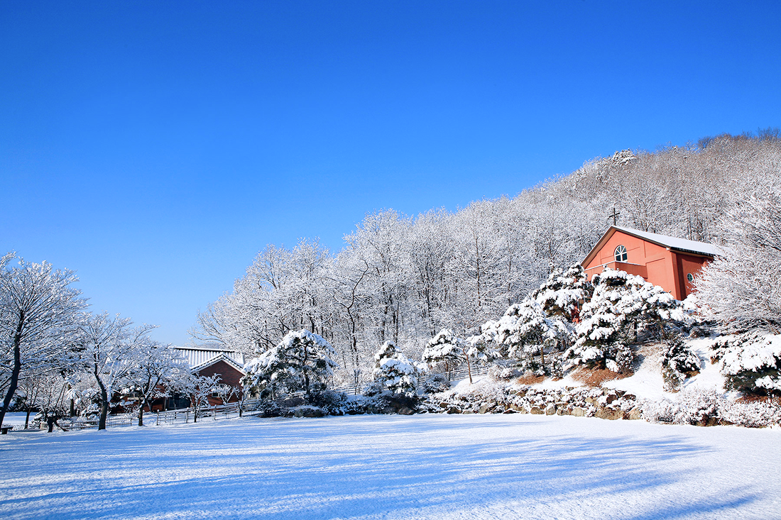 단내 성가정 성지 전경